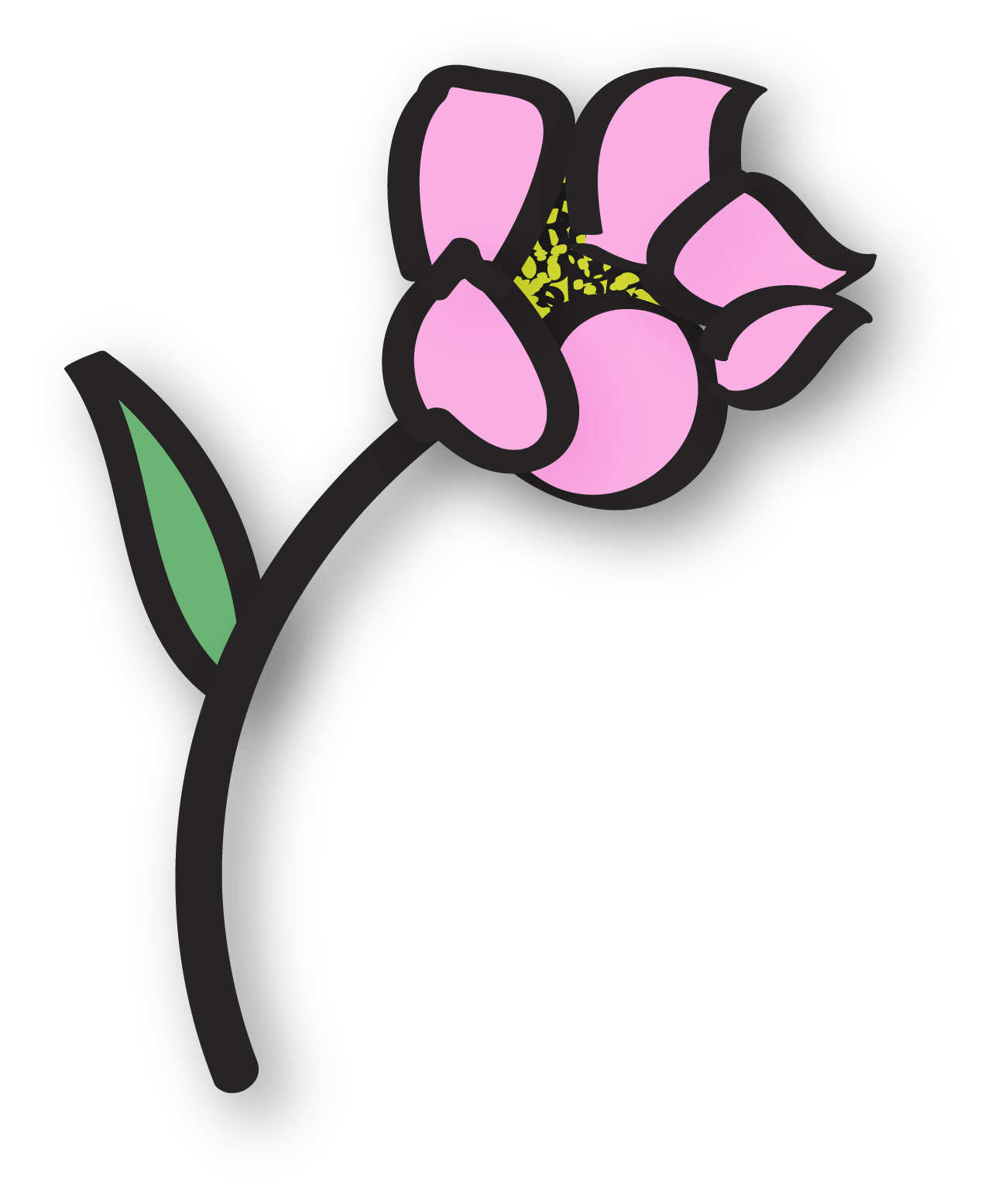 seeds