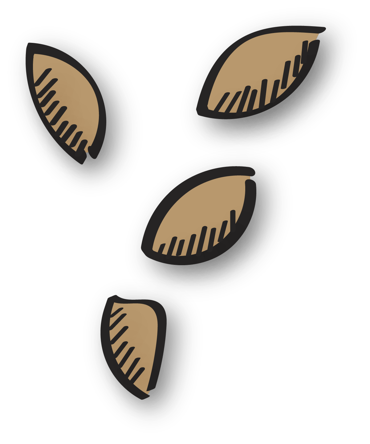 seeds